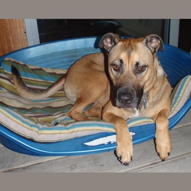 Photo of Bonnie #1487