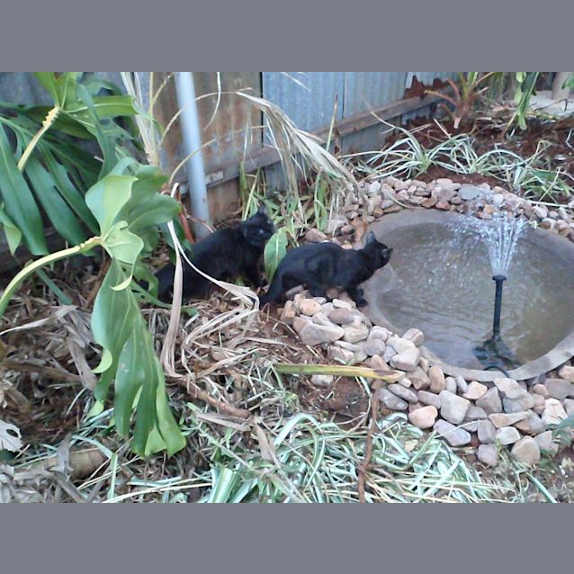 Photo of Mississippi