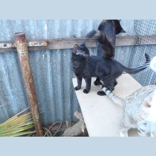 Photo of Mississippi