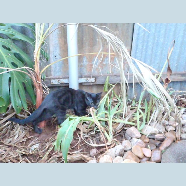 Photo of Mississippi