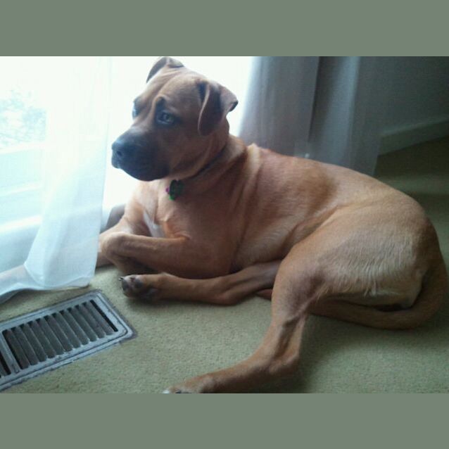 Photo of Maddy