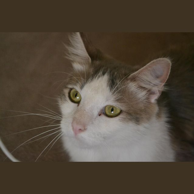 Photo of Chrissy