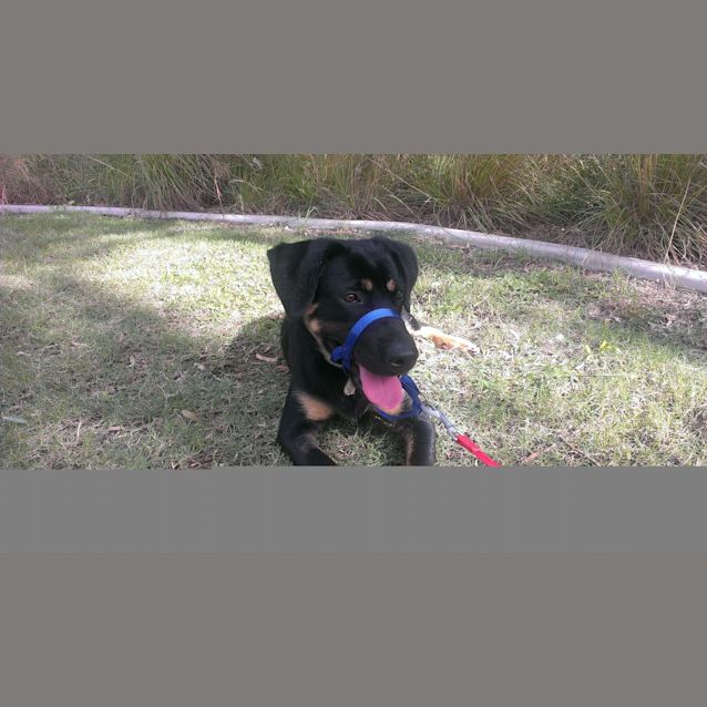 Photo of Marvin
