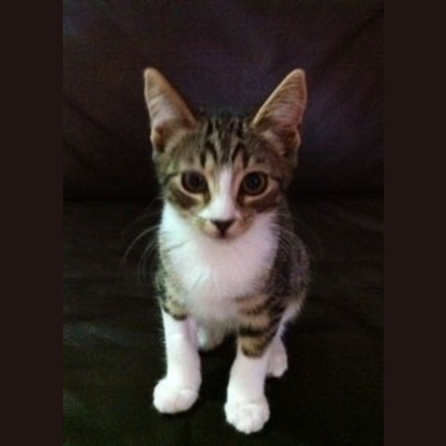 Photo of Meeka