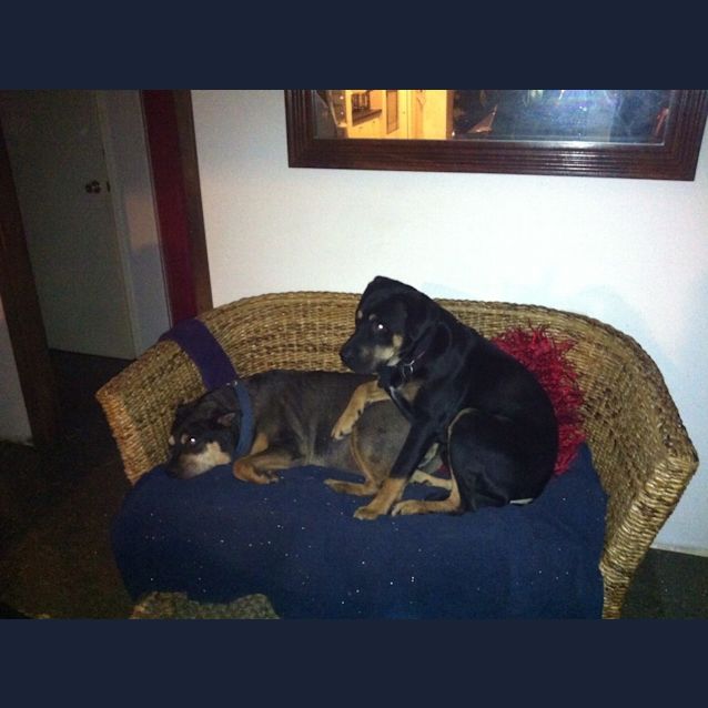 Photo of Axle 