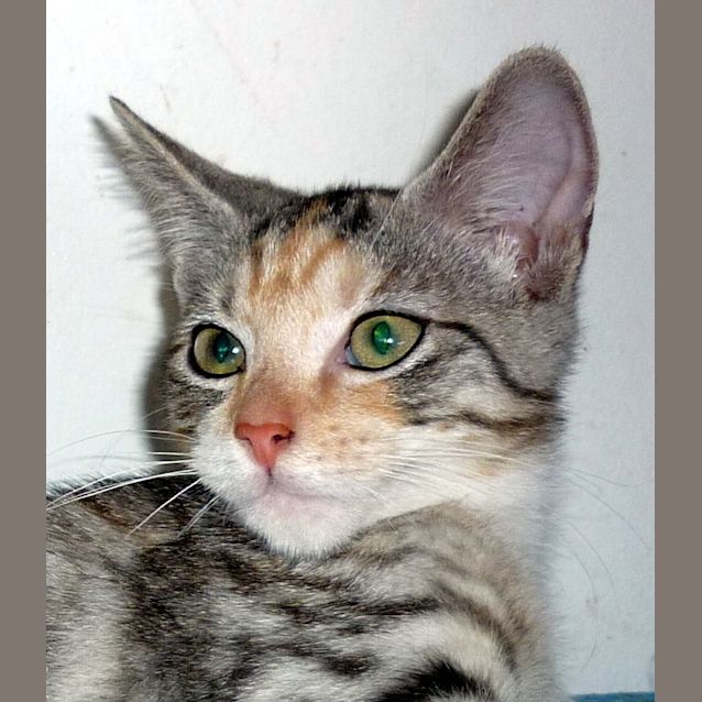 Photo of Freida