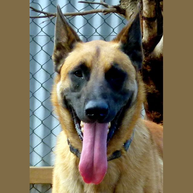 Photo of Gaylord Aka Gabe   Our Problem Child