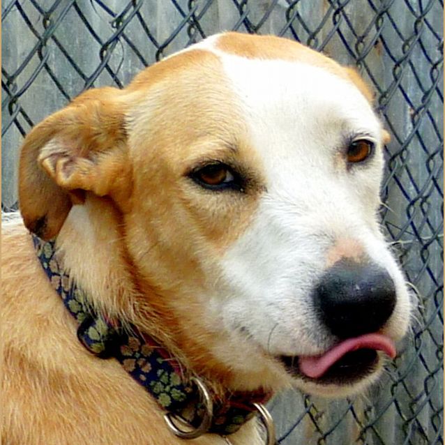 Photo of Molly3