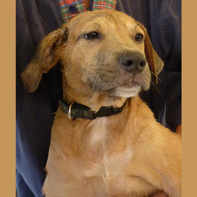 Photo of Waldo