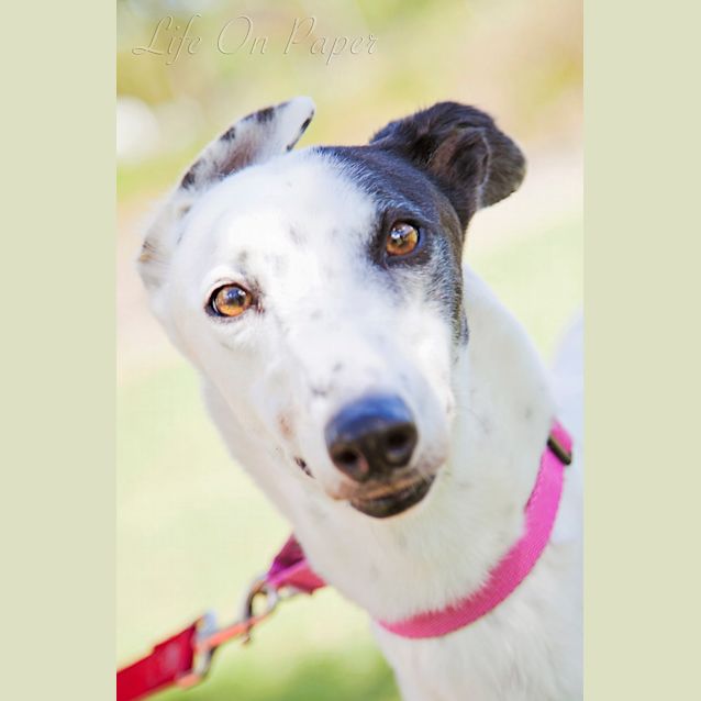 Photo of Chloe