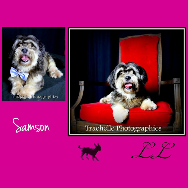 Photo of Samson