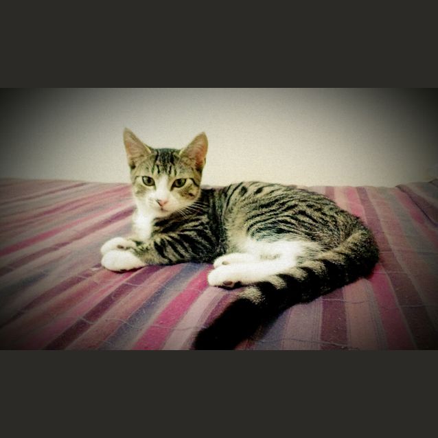 Photo of Jake