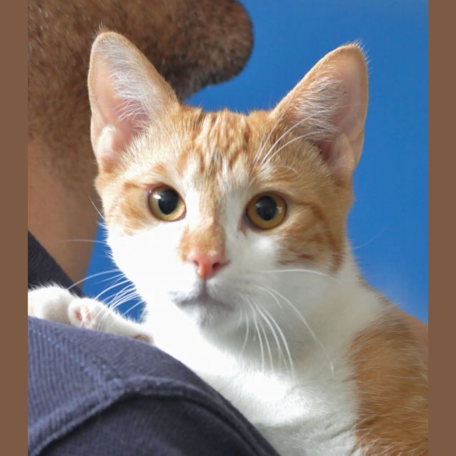 Photo of Echo