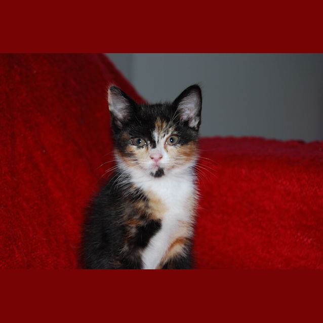 Photo of Lola