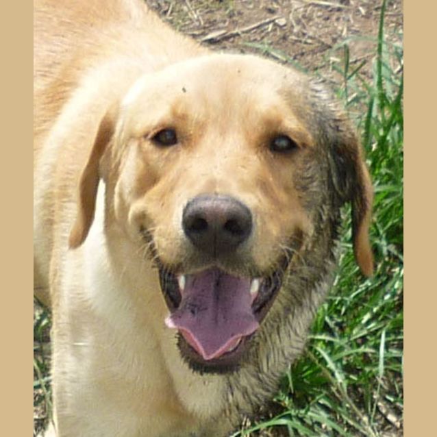 Photo of Kody