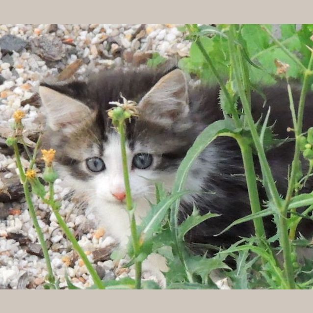 Photo of Titch