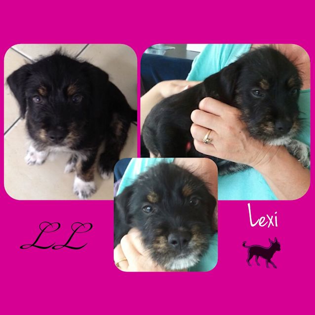 Photo of Lexi