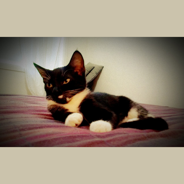 Photo of Kylie