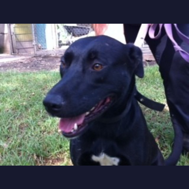 Photo of Beauty (On Trial 14/3/13)