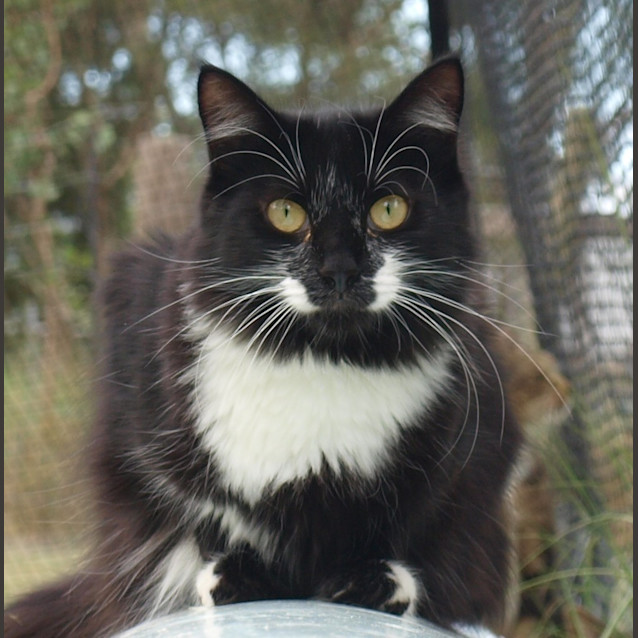 Photo of Monique (Jackson's Sister)