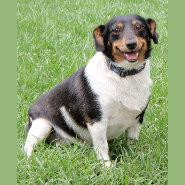 Photo of Lilly (E968)