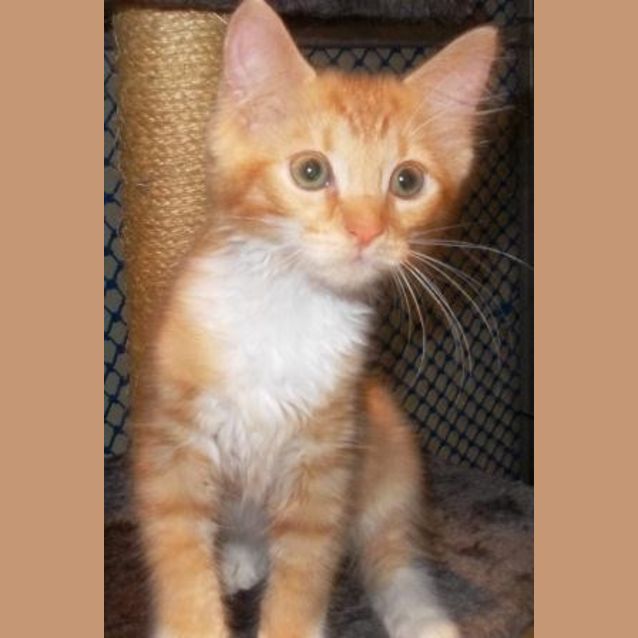 Photo of Flynn