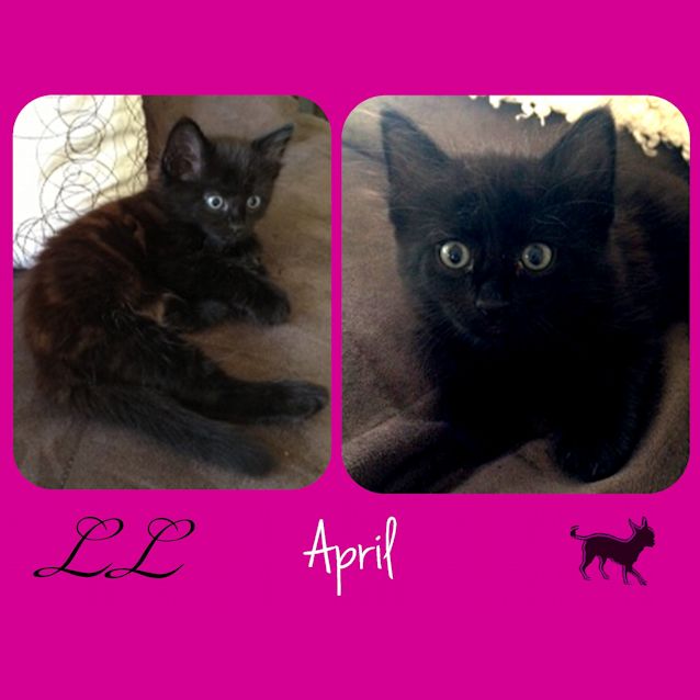 Photo of April 