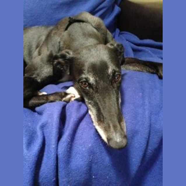 Photo of Mabel