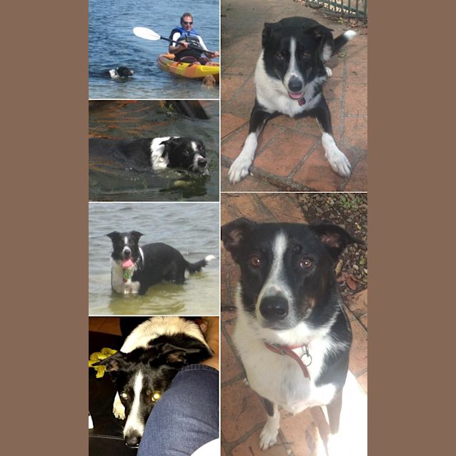 Photo of Tilly