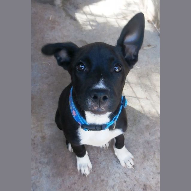 Photo of Levi