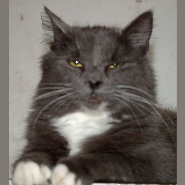 Photo of Byron