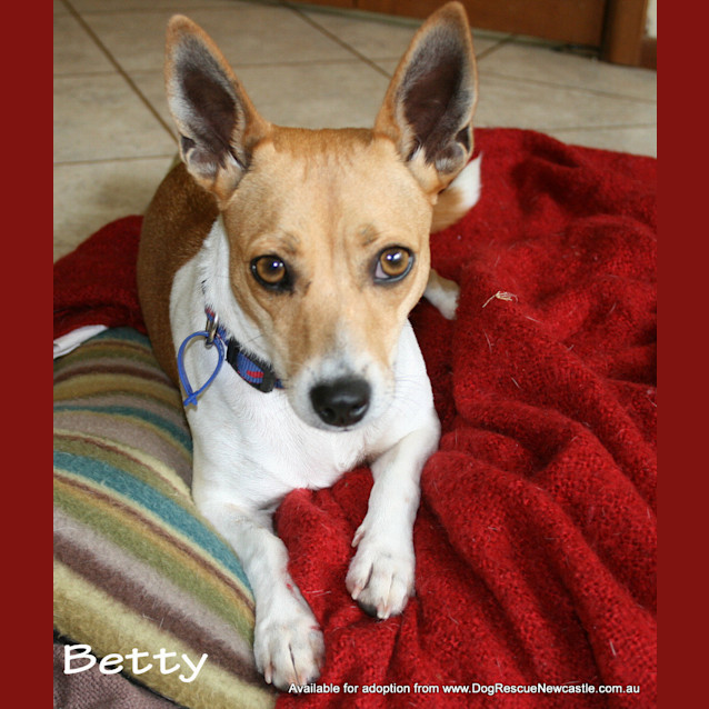 Photo of Betty