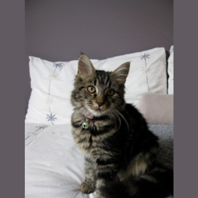 Photo of Nella