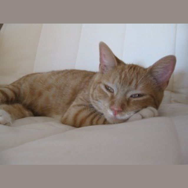 Photo of Max