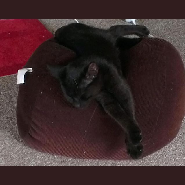 Photo of Bruce