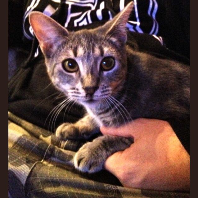 Photo of Mae