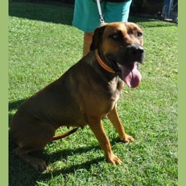Photo of Lucy