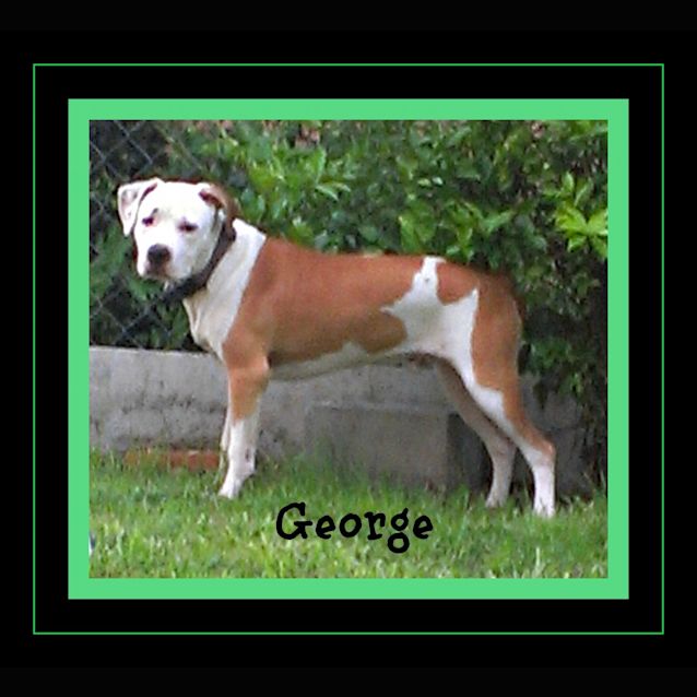 Photo of George