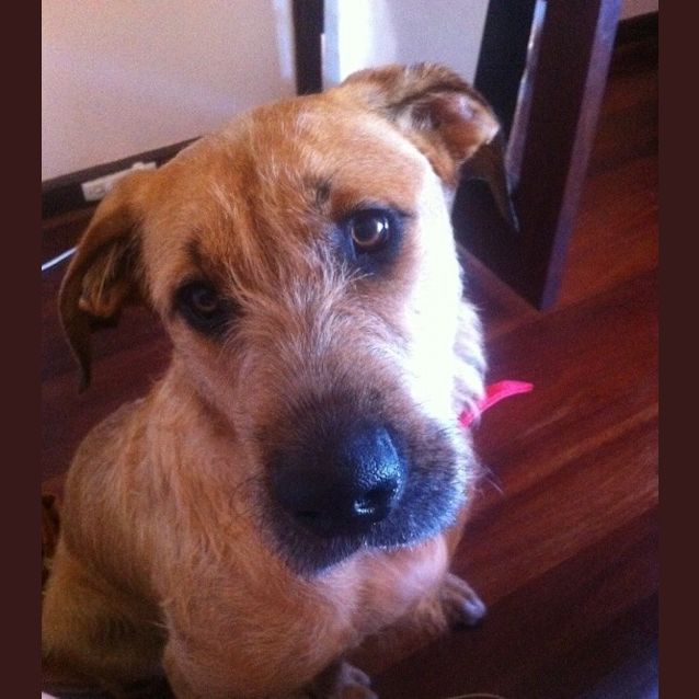 Photo of Hazel    