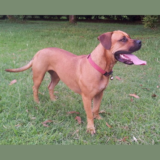 Photo of "Tink" (Tinkerbell)