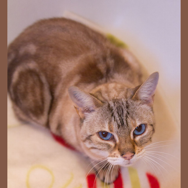 Photo of Pearl