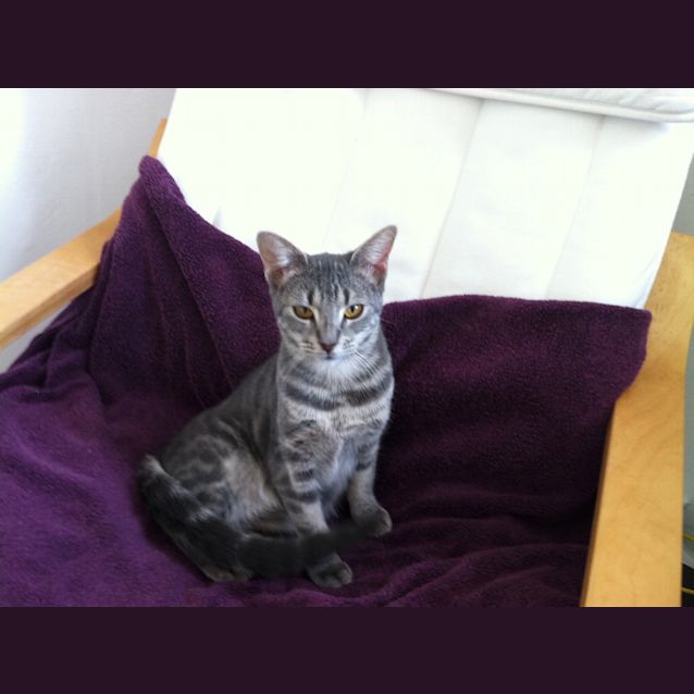 Photo of Mae