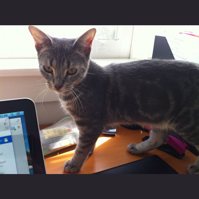 Photo of Mae