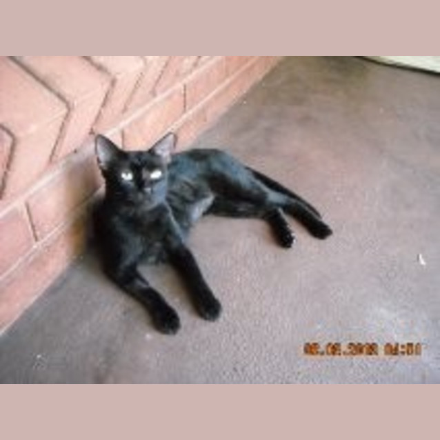 Photo of Jewell