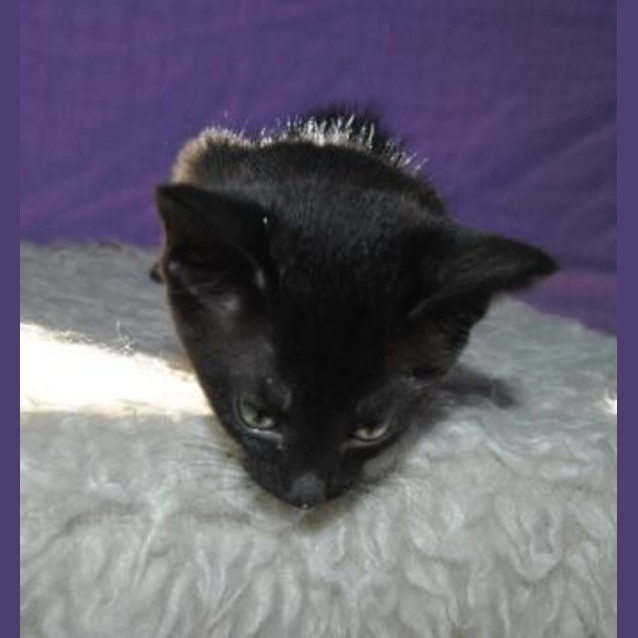 Photo of Bruce