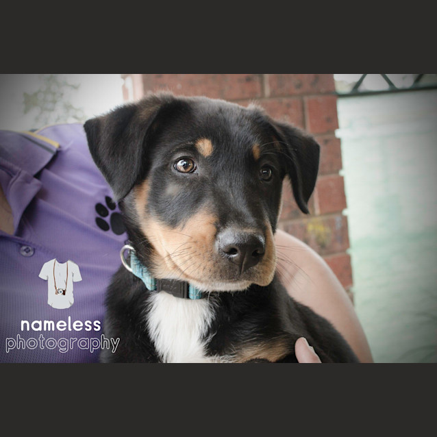 Photo of Conan *On Trial In His New Home*