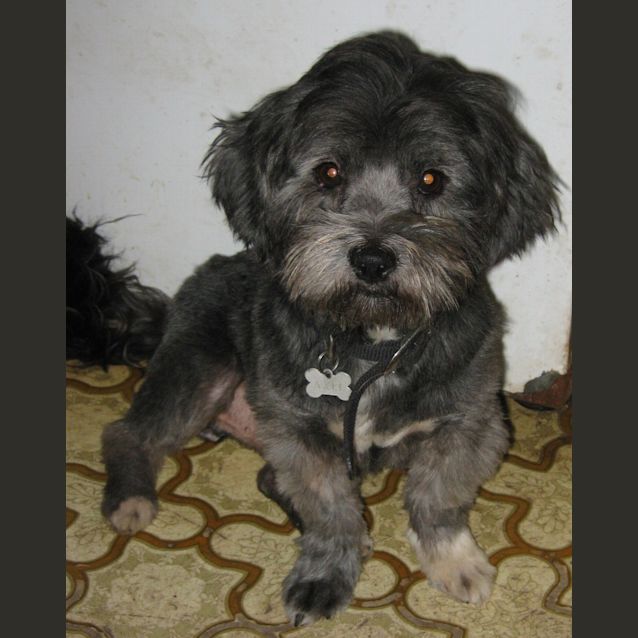 Photo of Axel