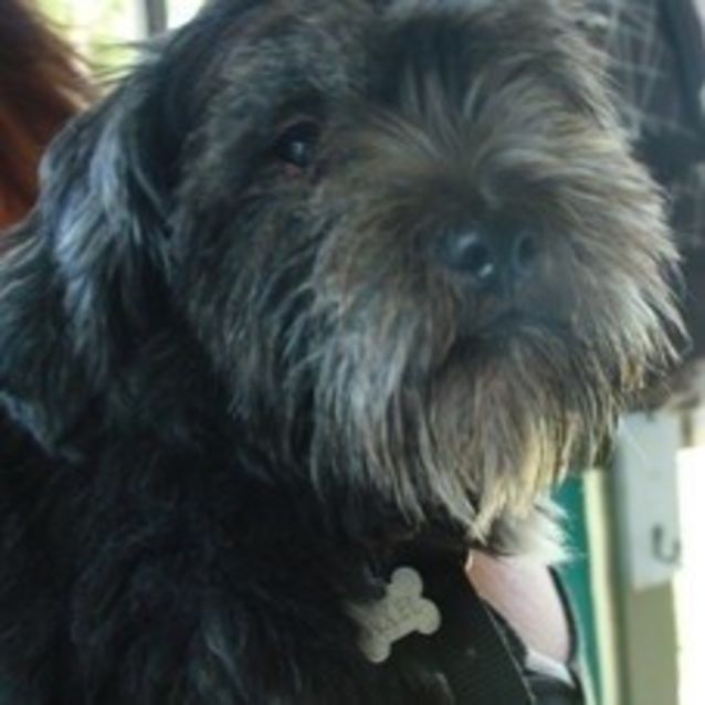 Photo of Axel