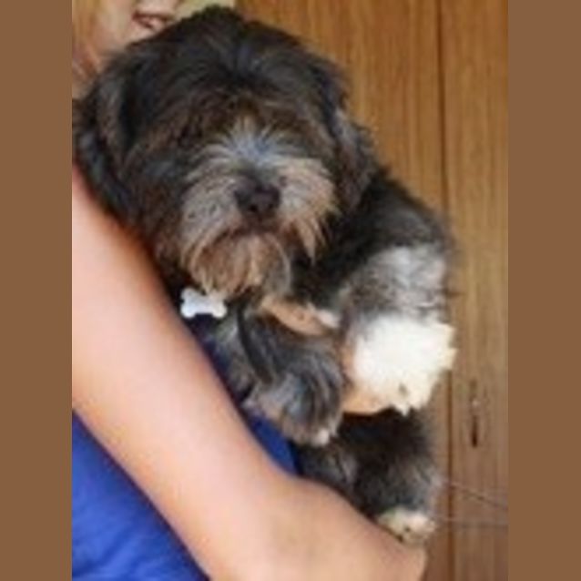 Photo of Axel