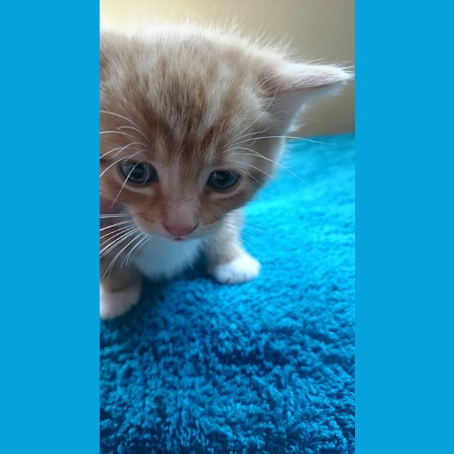 Photo of Polly